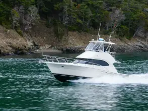 Thumbnail von Riviera 4400 Sport Yacht