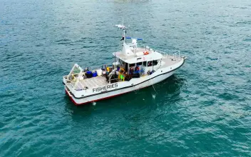 Thumbnail von Camarc Norman Le Brocq Red Ensign - 4060