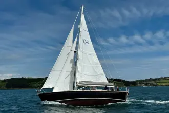 Thumbnail von Rustler 42 Stock Build