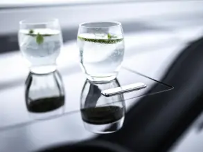 Thumbnail von Sealine C390 DOSTUPNÁ NYNÍ