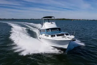 Thumbnail von Bertram 38 Sport Fisherman FIELD & SEA