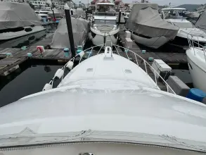 Thumbnail von Bertram 510