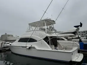 Thumbnail von Bertram 510