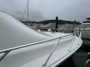 Thumbnail von Bertram 510