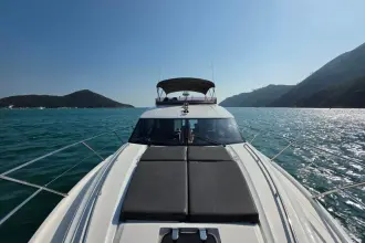 Thumbnail von Princess 52 10109787