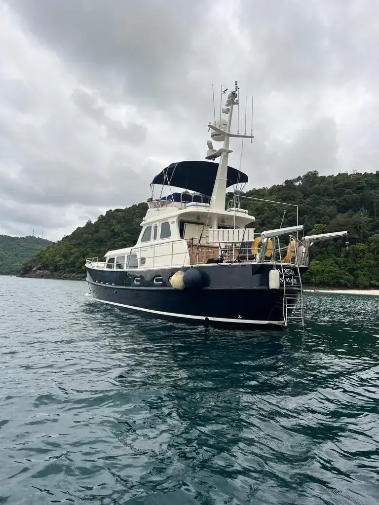 Steelcraft ALM Delfino