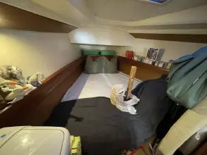 Thumbnail von Jeanneau Sun Odyssey 42 DS Lume