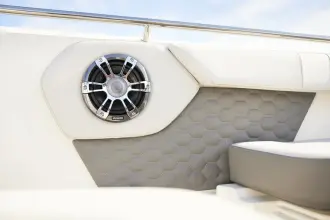 Thumbnail von Sea Ray SDX 250