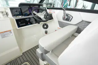 Thumbnail von Sea Ray SDX 250