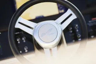 Thumbnail von Sea Ray SDX 250