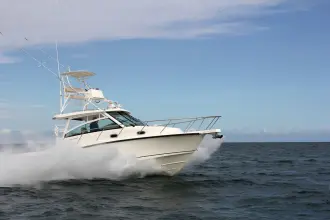 Thumbnail von Boston Whaler 345 Conquest