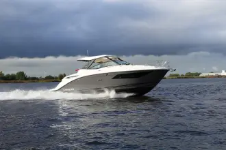 Thumbnail von Sea Ray Sundancer 320