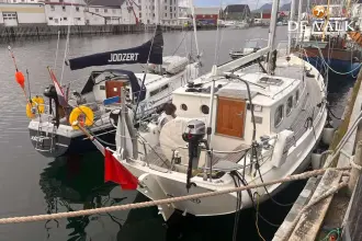 Thumbnail von Puffin 42