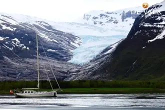 Thumbnail von Puffin 42