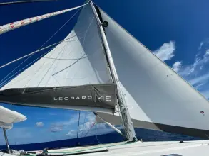 Thumbnail von Leopard 45