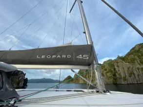 Thumbnail von Leopard 45