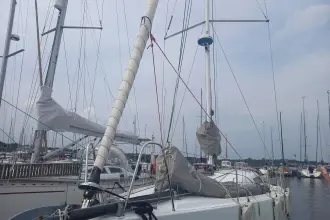 Thumbnail von Pogo 12.50