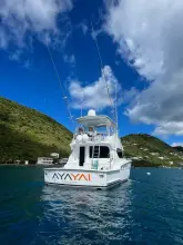 Thumbnail von Hatteras 50 Convertible