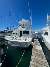 Thumbnail von Hatteras 50 Convertible