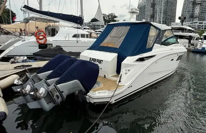 Sea Ray Sundancer 320
