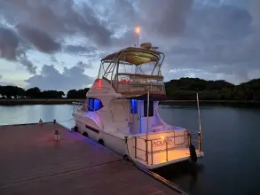 Thumbnail von Silverton 33 Convertible