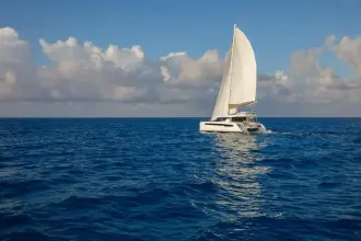 Thumbnail von Leopard 50