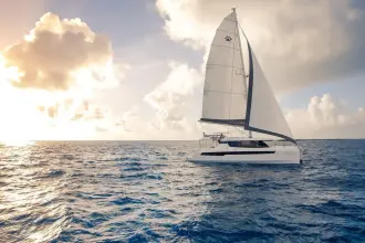 Thumbnail von Leopard 50