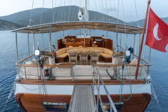 Thumbnail von Custom 31M