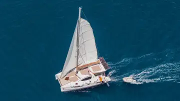 Thumbnail von Leopard 38