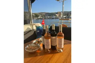 Thumbnail von Lagoon 52 Fly Chicago