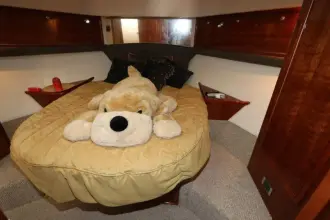 Thumbnail von Riviera 	Flybridge chiusa 62