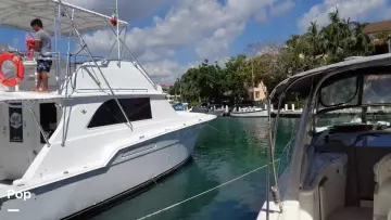 Thumbnail von Bertram 46 Convertible