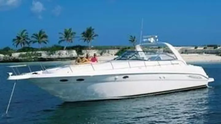 Sea Ray 330 Sundancer  Liza Jane