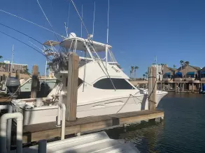 Thumbnail von Riviera 42 Flybridge