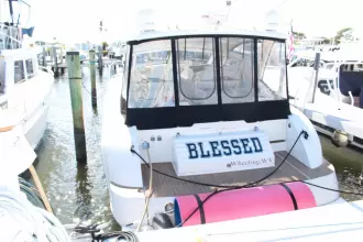 Thumbnail von Carver Trojan 440 Express Blessed