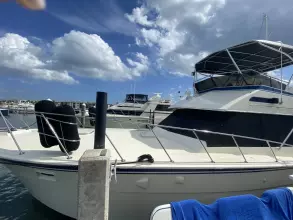 Thumbnail von Hatteras 42 Convertible