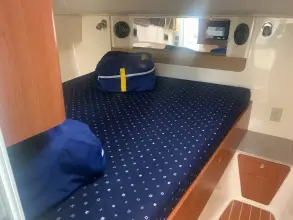 Thumbnail von World Cat 320 EC