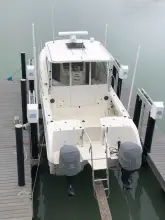 Thumbnail von World Cat 320 EC