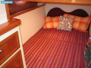 Thumbnail von Sonstige Sea Lion Voyager 45