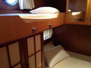 Thumbnail von Mochi Craft Dolphin 54 Sun Top