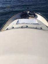 Thumbnail von Canados 72