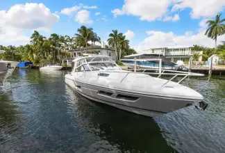 Thumbnail von Intrepid 438 Evolution Salty Dog