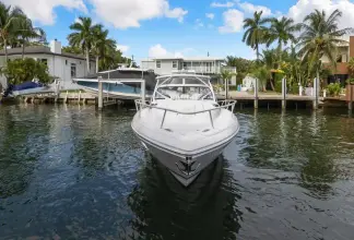 Thumbnail von Intrepid 438 Evolution Salty Dog