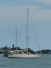 Thumbnail von Stevens 	47