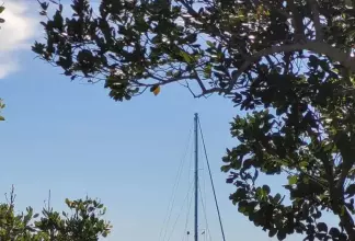 Thumbnail von Stevens 	47