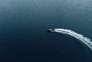 Thumbnail von Fugu 29