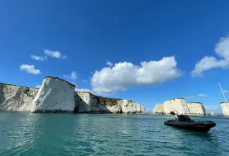 Thumbnail von Fugu 29