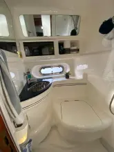 Thumbnail von Sealine F43