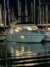 Thumbnail von Doqueve Majestic 390