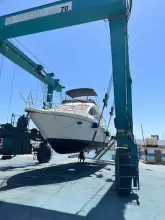 Thumbnail von Doqueve Majestic 390